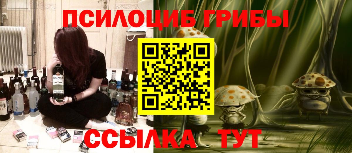 Галлюциногенные грибы мухоморы Горячий Ключ