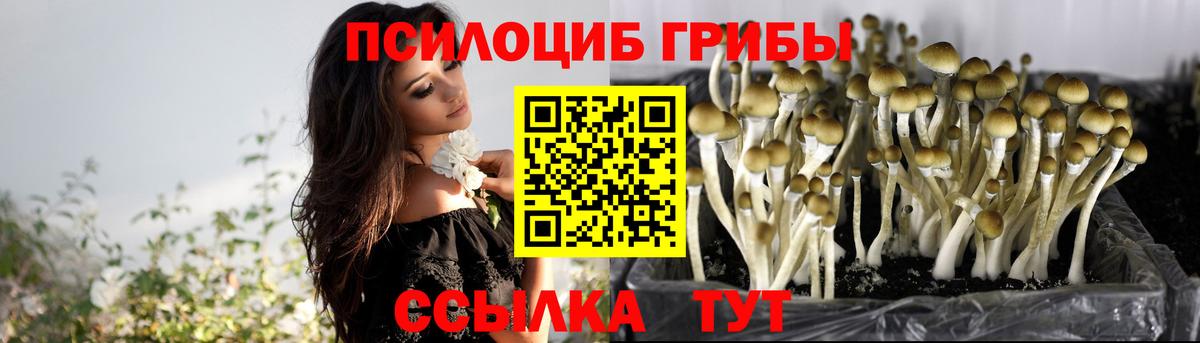 Горячий Ключ  Псилоцибиновые грибы MAGIC MUSHROOMS  Вход с VPN 